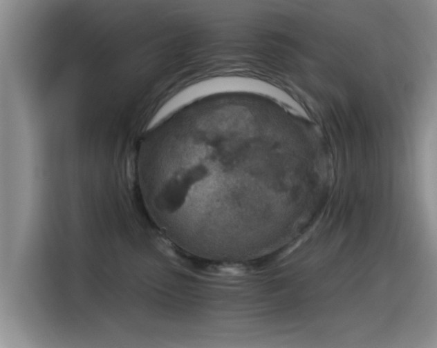 X0000115820475200911201448