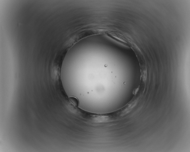 X0000115820476200911201448