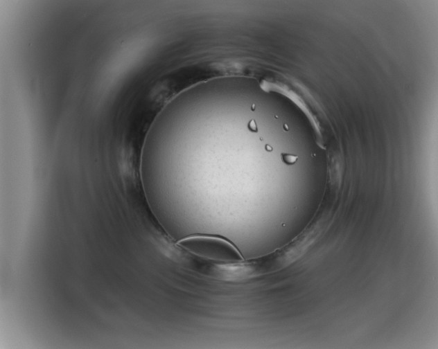 X0000115820477200911201449