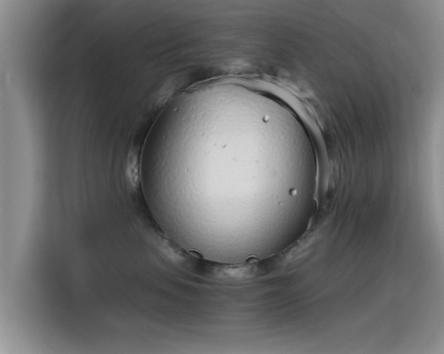 X0000115820479200911201449