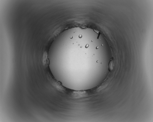 X0000115820480200911201449