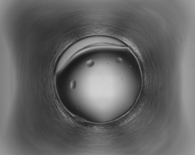 X0000115820481200911201448