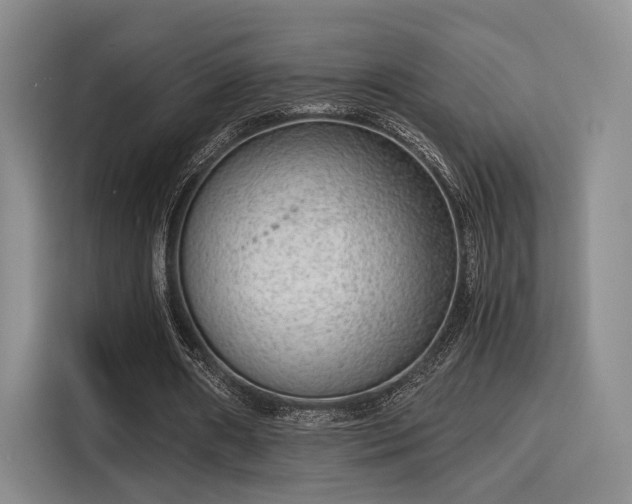 X0000115820482200911201448