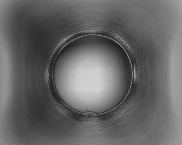 X0000115820483200911201448