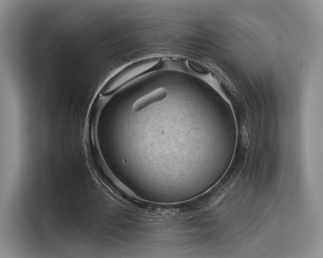 X0000115820484200911201448