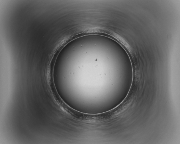 X0000115820485200911201448