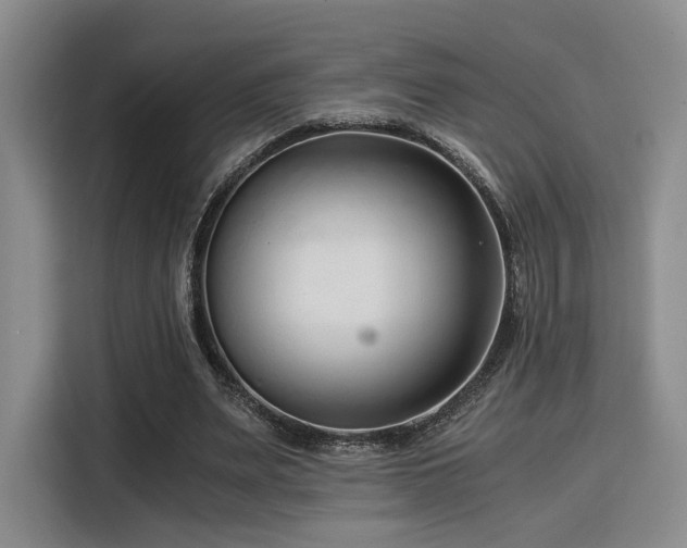 X0000115820487200911201448