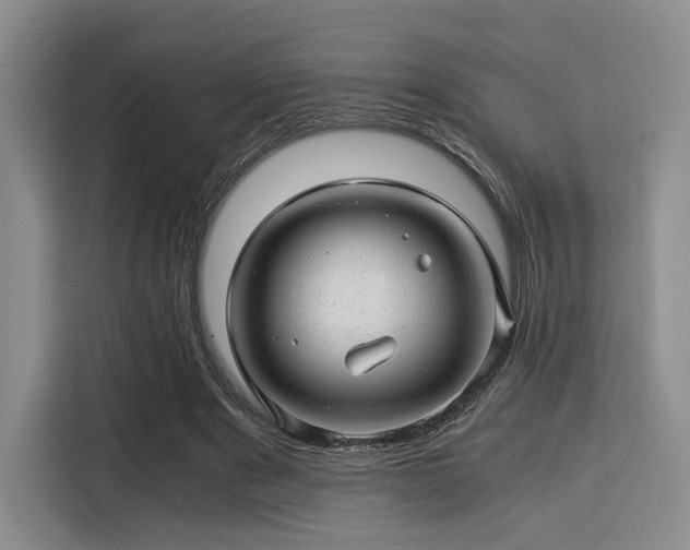 X0000115820489200911201448