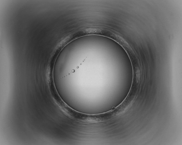 X0000115820490200911201448