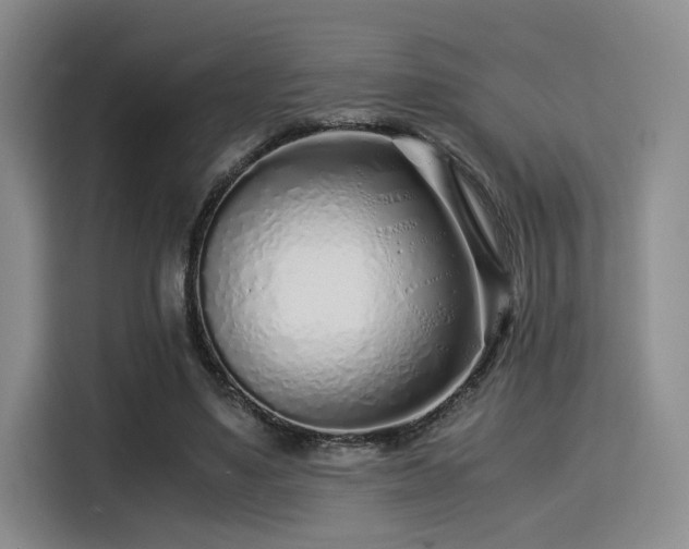 X0000115820491200911201448