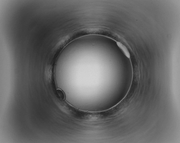 X0000115820495200911201448