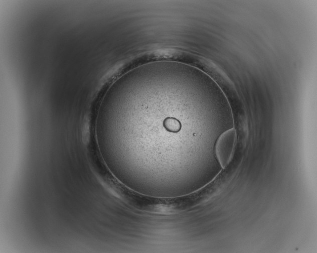 X0000115820496200911201448