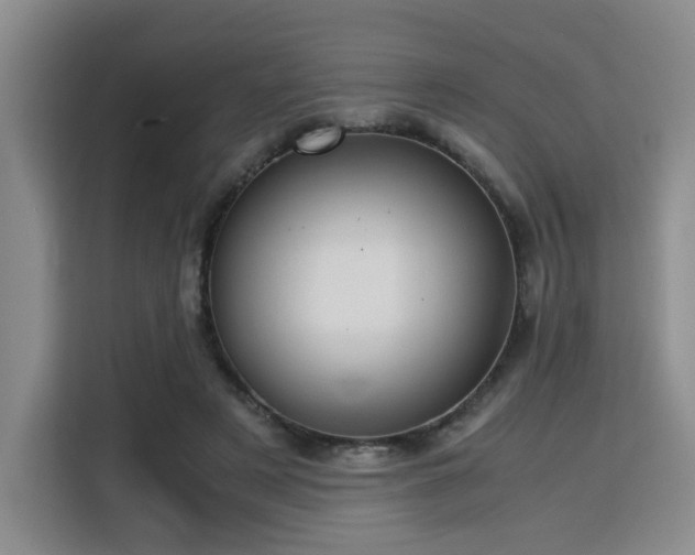 X0000115820497200911201448