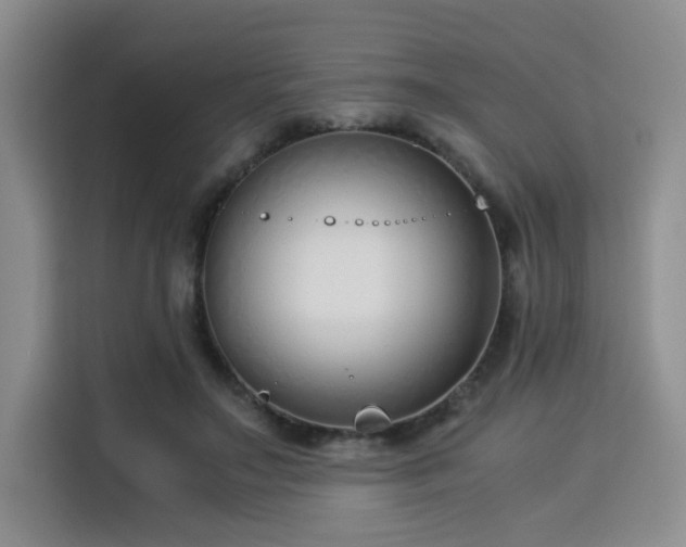 X0000115820499200911201448