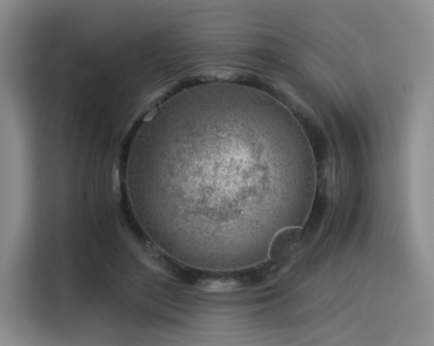 X0000115820500200911201448