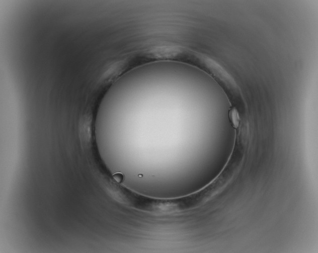 X0000115820501200911201448