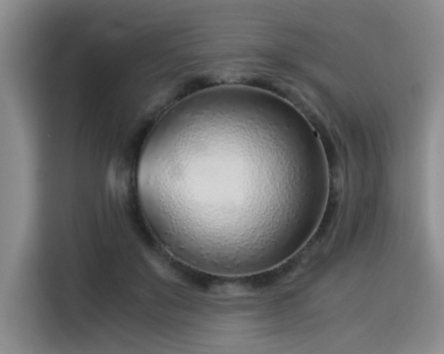 X0000115820503200911201448