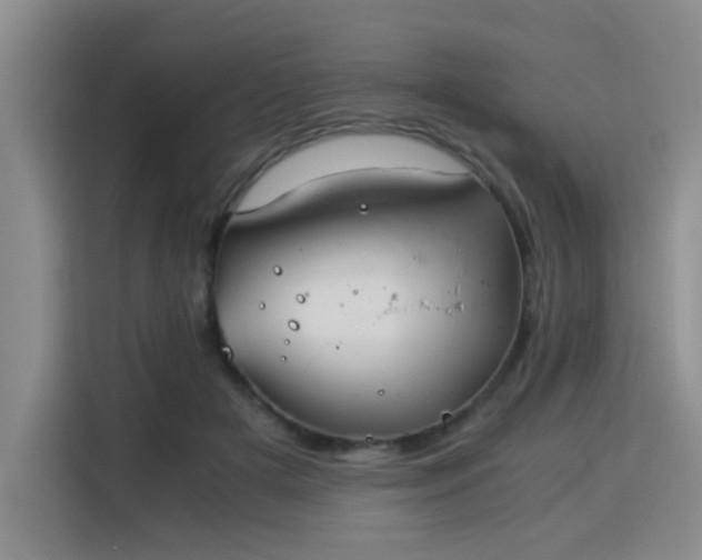 X0000115820505200911201448