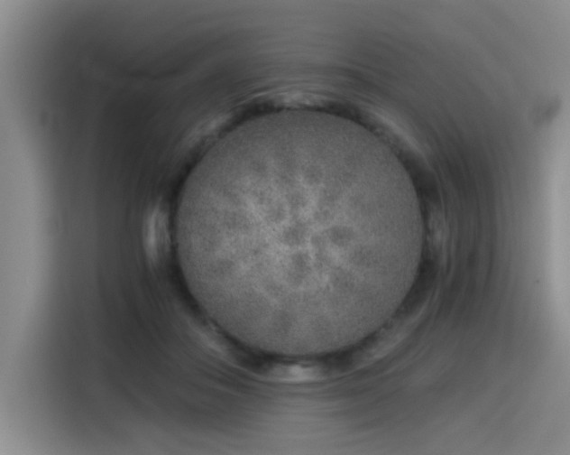 X0000115820506200911201448