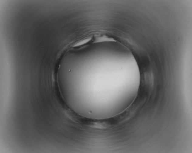 X0000115820508200911201448