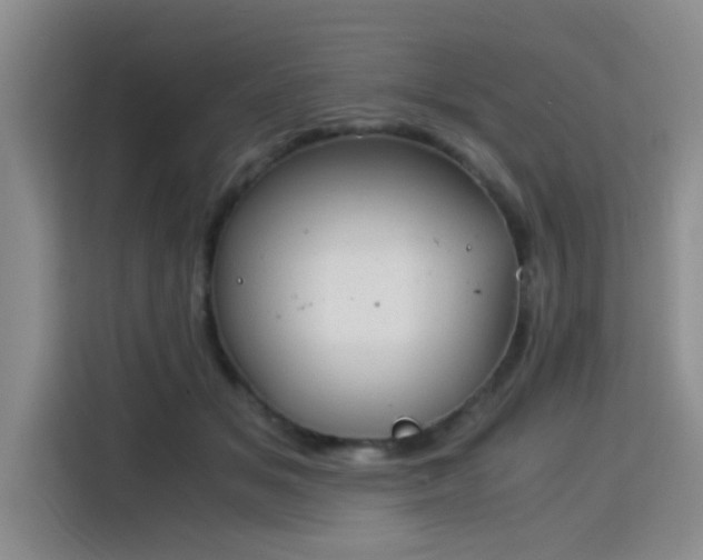 X0000115820509200911201448