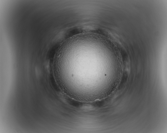 X0000115820519200911201447