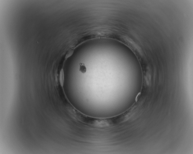 X0000115820520200911201447