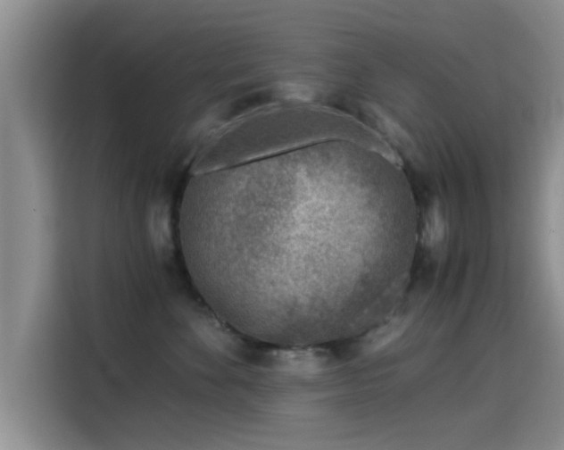 X0000115820524200911201447