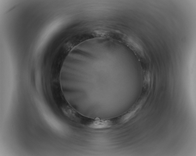 X0000115820526200911201447