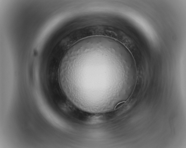 X0000115820527200911201447