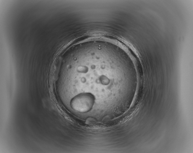 X0000115820529200911201447