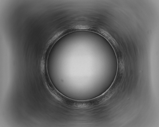 X0000115820533200911201447