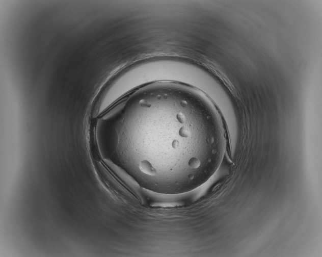 X0000115820534200911201447