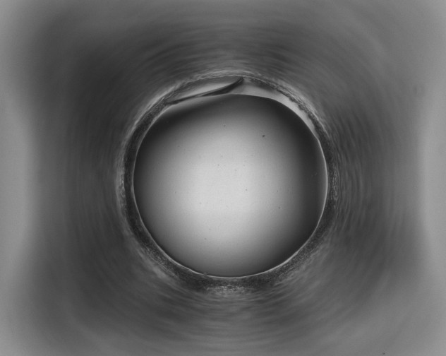 X0000115820535200911201447