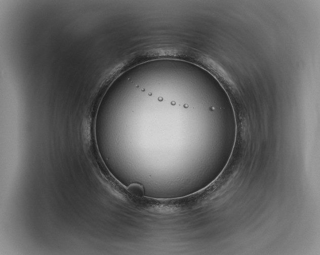 X0000115820537200911201447