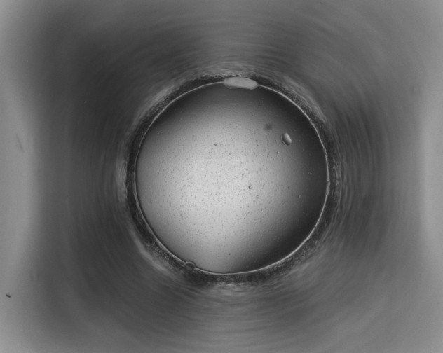 X0000115820538200911201447