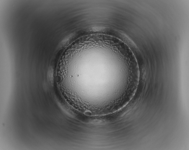 X0000115820542200911201447