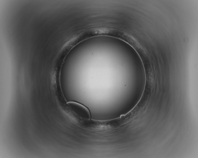 X0000115820543200911201447