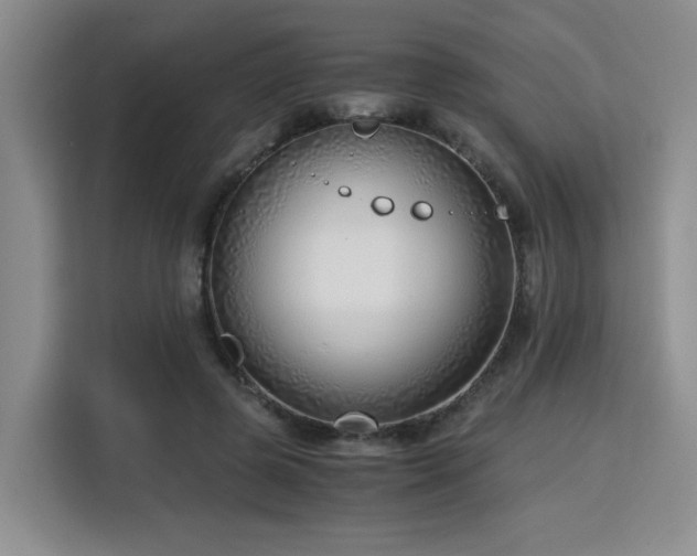 X0000115820545200911201447