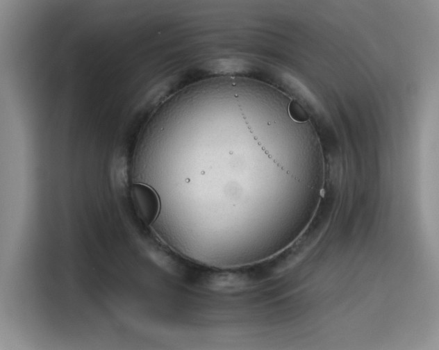 X0000115820549200911201447