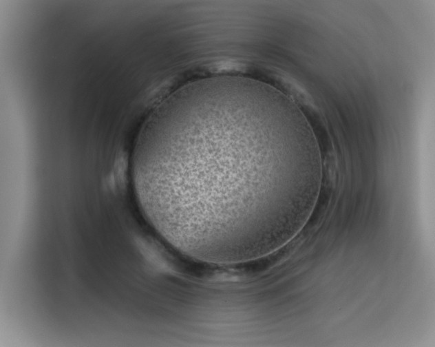 X0000115820550200911201447