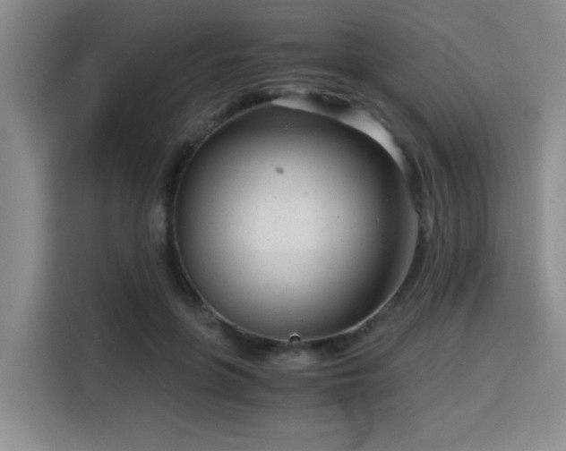 X0000115820551200911201447