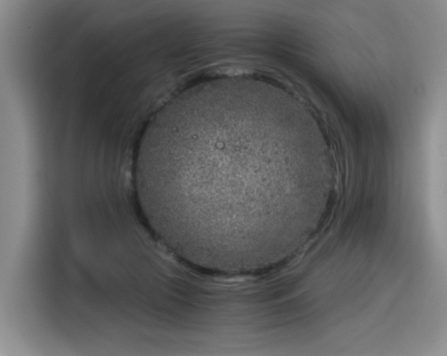 X0000115820553200911201447