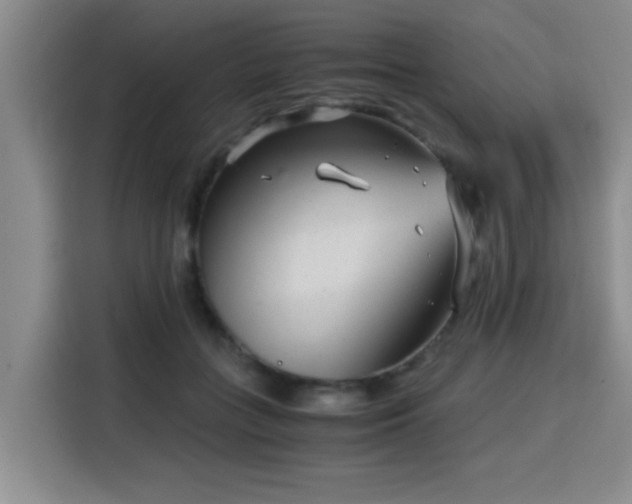 X0000115820555200911201447