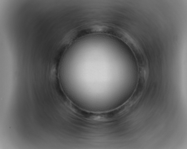 X0000115820557200911201447