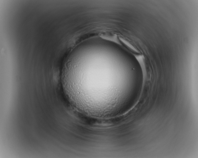 X0000115820559200911201447