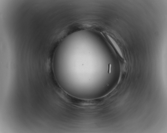 X0000115820563200911201447