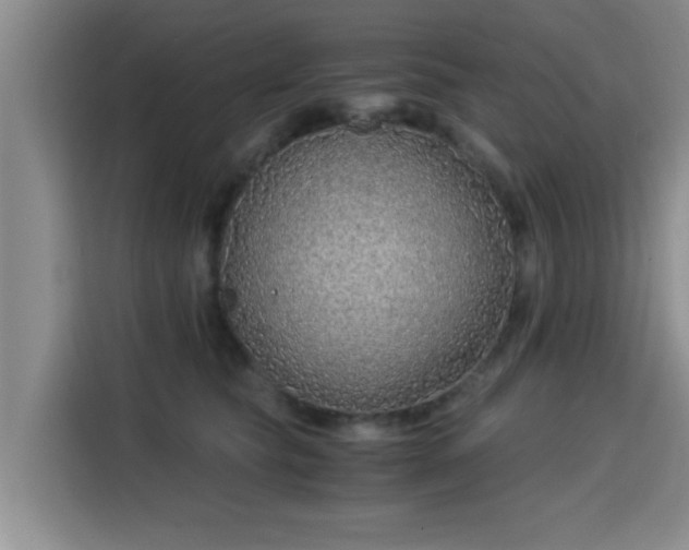 X0000115820565200911201447