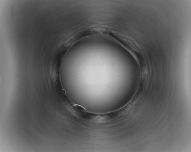 X0000115820566200911201447