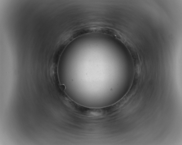 X0000115820567200911201447